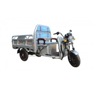 百平电动车-02